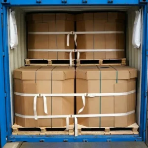 Polyester container lashing system with container desiccant for moisture protection during ocean shipping
